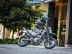 Thumbnail Photo 4 for New 2025 Kawasaki KLX300