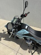 Thumbnail Photo 1 for New 2025 Kawasaki KLX300 SM