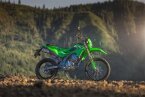 Thumbnail Photo 6 for New 2025 Kawasaki KLX300
