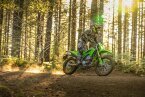 Thumbnail Photo 5 for New 2025 Kawasaki KLX300