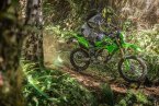 Thumbnail Photo 3 for New 2025 Kawasaki KLX300