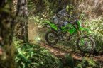 Thumbnail Photo 4 for New 2025 Kawasaki KLX300