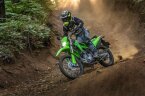 Thumbnail Photo 5 for New 2025 Kawasaki KLX300