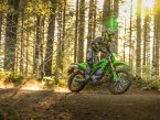 Thumbnail Photo 6 for New 2025 Kawasaki KLX300