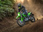 Thumbnail Photo 5 for New 2025 Kawasaki KLX300