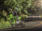 Thumbnail Photo 3 for New 2025 Kawasaki KLX300