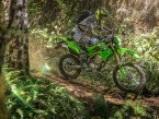 Thumbnail Photo 4 for New 2025 Kawasaki KLX300