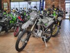 Thumbnail Photo 2 for New 2025 Kawasaki KLX300