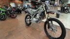 Thumbnail Photo 1 for New 2025 Kawasaki KLX300