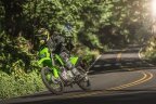 Thumbnail Photo 5 for New 2025 Kawasaki KLX300