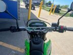 Thumbnail Photo 2 for New 2025 Kawasaki KLX300