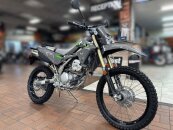 New 2025 Kawasaki KLX300