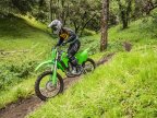 Thumbnail Photo 4 for New 2025 Kawasaki KLX300R