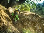 Thumbnail Photo 3 for New 2025 Kawasaki KLX300R