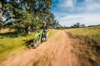 Thumbnail Photo 5 for New 2025 Kawasaki KLX300R