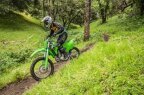 Thumbnail Photo 2 for New 2025 Kawasaki KLX300R