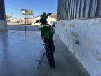 Thumbnail Photo 2 for New 2025 Kawasaki KX250