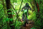 Thumbnail Photo 5 for New 2025 Kawasaki KX250 X