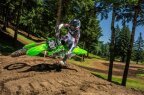 Thumbnail Photo 3 for New 2025 Kawasaki KX250