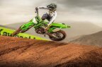Thumbnail Photo 2 for New 2025 Kawasaki KX450 SR