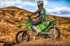 Thumbnail Photo 2 for New 2025 Kawasaki KX450