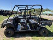 New 2025 Kawasaki Mule 4010