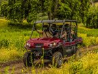 Thumbnail Photo 4 for New 2025 Kawasaki Mule PRO-FXT LE Ranch Edition