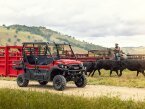 Thumbnail Photo 5 for New 2025 Kawasaki Mule PRO-FXT LE