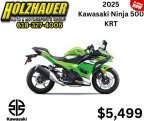 Thumbnail Photo 1 for New 2025 Kawasaki Ninja 500
