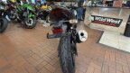 Thumbnail Photo 4 for New 2025 Kawasaki Ninja 500 ABS