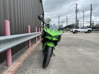 Thumbnail Photo 6 for New 2025 Kawasaki Ninja 500