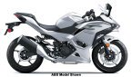 Thumbnail Photo 3 for New 2025 Kawasaki Ninja 500