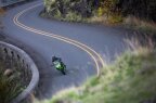 Thumbnail Photo 2 for New 2025 Kawasaki Ninja 500 KRT Edition SE ABS