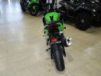 Thumbnail Photo 2 for New 2025 Kawasaki Ninja 500 KRT Edition SE ABS