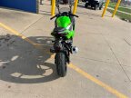 Thumbnail Photo 2 for New 2025 Kawasaki Ninja 500 KRT Edition SE ABS