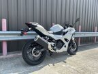 Thumbnail Photo 2 for New 2025 Kawasaki Ninja 500 ABS