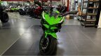 Thumbnail Photo 1 for New 2025 Kawasaki Ninja 500