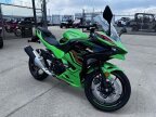 Thumbnail Photo 1 for New 2025 Kawasaki Ninja 500