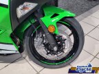 Thumbnail Photo 1 for New 2025 Kawasaki Ninja 500