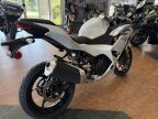 Thumbnail Photo 5 for New 2025 Kawasaki Ninja 500 ABS