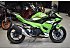 New 2025 Kawasaki Ninja 500 KRT Edition