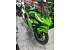 New 2025 Kawasaki Ninja 500