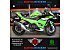 New 2025 Kawasaki Ninja 500 KRT Edition SE ABS