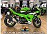 New 2025 Kawasaki Ninja 500
