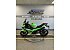 New 2025 Kawasaki Ninja 500