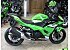 New 2025 Kawasaki Ninja 500