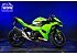 2025 Kawasaki Ninja 500