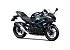 New 2025 Kawasaki Ninja 500 ABS