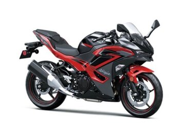 New 2025 Kawasaki Ninja 500 ABS