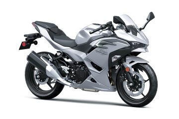 New 2025 Kawasaki Ninja 500 ABS